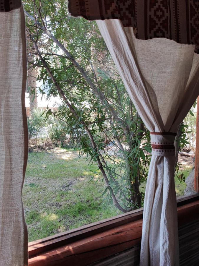 Ensueno Del Alma Villa Villa Pehuenia Buitenkant foto