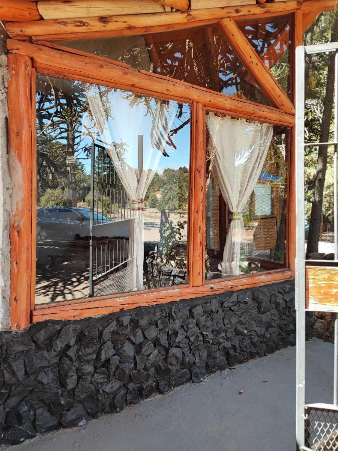 Ensueno Del Alma Villa Villa Pehuenia Buitenkant foto